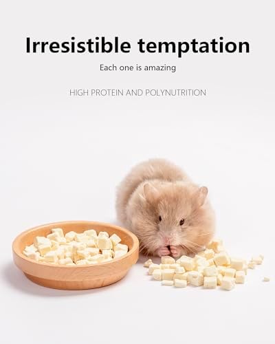 Niteangel Hamster Snack & Treats Toy - Small Animal Natural Treat for Dwarf Syrian Robo Hamsters Gerbils Mice Lemmings Degus or Other Small-Sized Pets (Freeze-Dried Tofu 8mm - 0.7oz (19g))