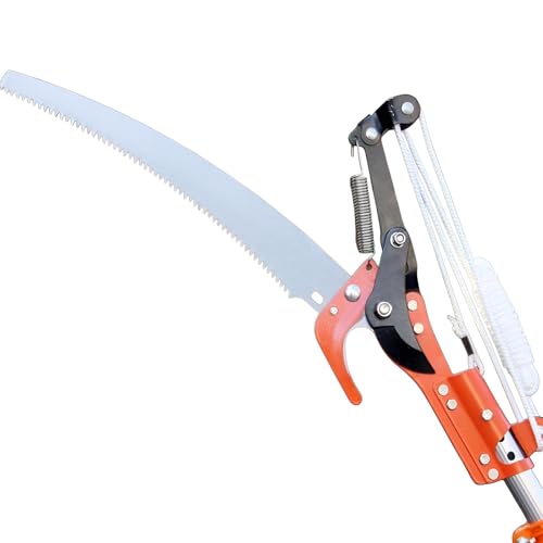 [POZEAL]Lk }؂p yyʐ݌vzYf|sn \ ؉ʎ K[fjO ƊyX Ȏ[ {dl