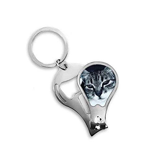 Coupe-ongles chat gris cool idéal pour votre trousse de toilette voyage