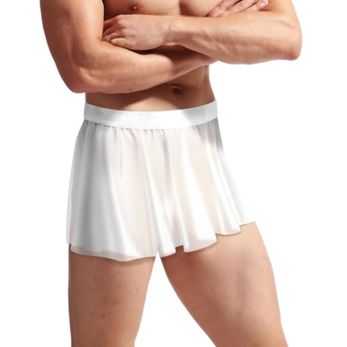 Men's Sexy Panties Sissy Knickers Briefs Stretch Low Waist Mesh large Flat Skirt Hot Dress Funny Underwear4