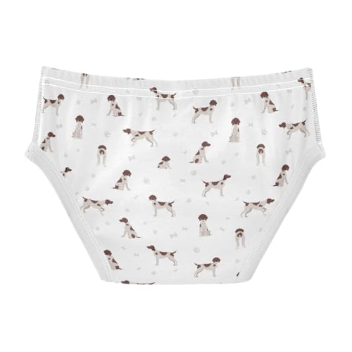 Boys' Exclusive Briefs Toddler Underwear 95% Combed Cotton Boxerbriefs 2T Pointer Dog Pattern 802