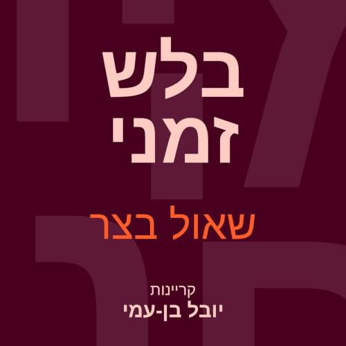 בלש זמני cover art
