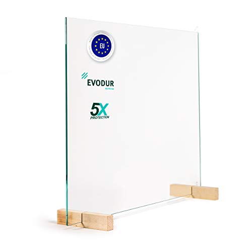 Glas Expert Protection contre les éternuements en verre trempé Hauteur 60 cm, W 100cm x H 60cm, 1