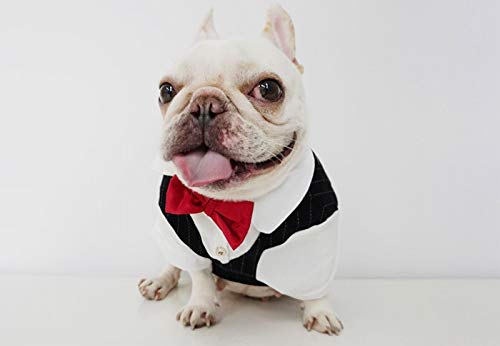 Amazon | 【24HOURS】フレンチブルドッグ 服 犬 中型犬 小型犬 ペット
