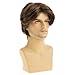 RicHyun Mens Short Brown Wig Synthetic Straight Layered Cosplay Replacement Hair Wig for Male Guy