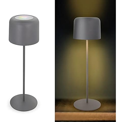 FUYO Lámpara de Mesa LED Regulable con Batería Cover