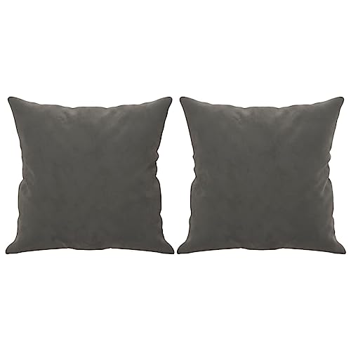 vidaXL Throw Pillows 2 Pcs - Dark Gray Velvet Sofa