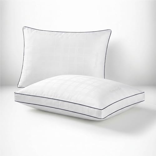 Set 2 Almohadas Algodón Estándar con soporte
