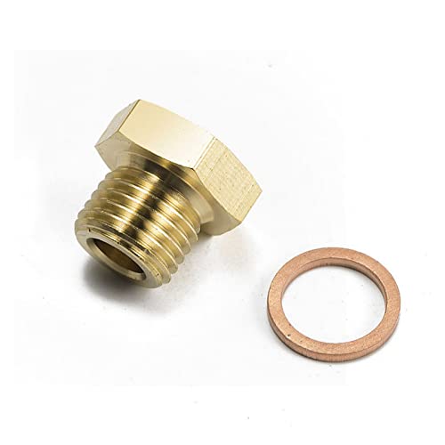 PENGFA Wshao Store 1/8" NPT À M14x1.5 Ou M16x1.5 Adaptateur De L'expéditeur De Température De Pression De Pression Mâle M14 (Color : M14)