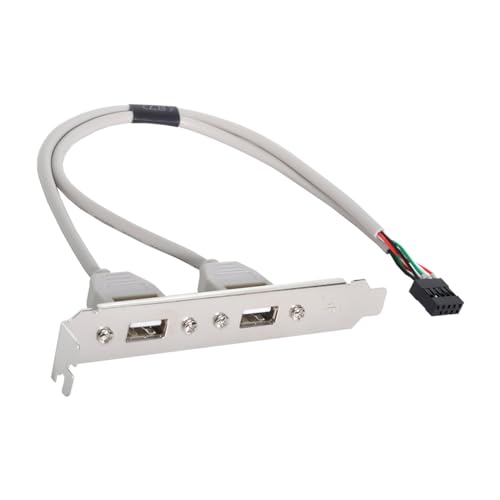 Image of CY Cable Dual USB 2.0 A Type Female to Motherboard 9Pin 10Pin USB Header Cable with PCI-E Bracket Screw Panel