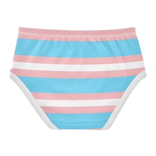Underwear Girls, Stripes Blue Toddler Girl Briefs, Girls' Cotton Brief Underwear, 2T–8 Years2