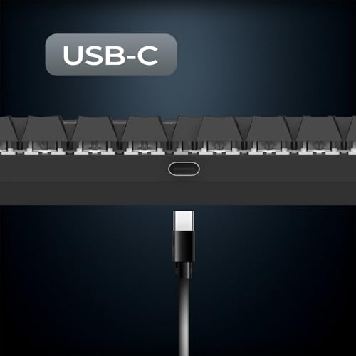 Nuovo 2025 – K245 Tastiera Gaming Wired Switches Meccanica MX Red (FR - AZERTY) - Tipo C - per PC/PS4/PS5/Xbox - Retroilluminazione RGB 24 Effetti - 105 Tasti - N-Key Rollover (NKRO) - Tastiera gaming - Immagine 3