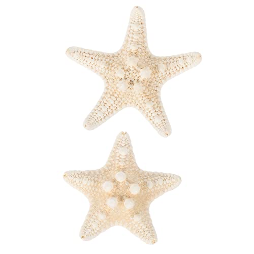 Sosoport 2 Piezas Accesorios De Bricolaje Comederos Peso Atrapar Playa Neto Aire Medusa Decoraciones De Peceras Coral Cambiador Liberar Agua Juguetes Calentador Estanque Estrella De Mar