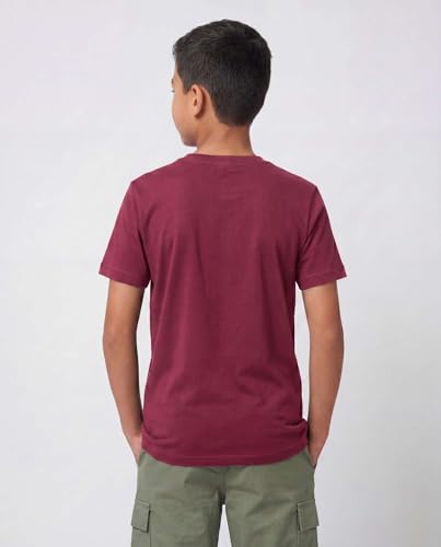 Image of 5 Pack Boys' Cotton T Shirts Crew Neck Plain Short Sleeve Tops Kids Teens