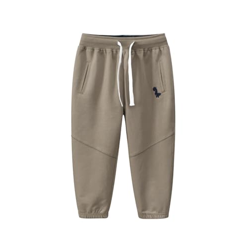 Toddler Boys Jogger Active Athletic Pants Dinosaur Sweatpants (1-Pack 2-Pack3