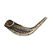 Amen Judaica Ram Horn Shofar From Israel, Beautiful Blowing Shofar Made In Israel (12-14 Inch)