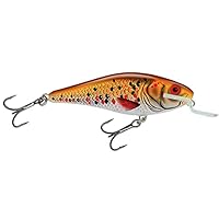 Wobbler Salmo Executor Deep Runner RD Real Dace - Leurre Brochet Perche - Neuf