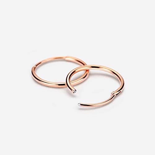 Image of 316L Surgical Steel Endless Hoop Earrings with 16g Tube for Women Silver /Gold /Rose Gold /Black 8mm /10mm /12mm