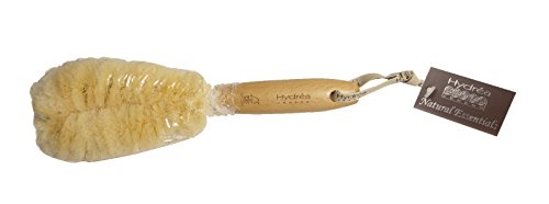 Hydrea London Japanese Spa Sisal Hand/Nail Brush/Foot Brush