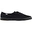 Black Canvas