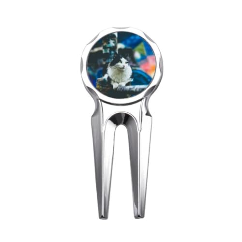 ̑ӑĂȔL̎ʐ^Be StfB{bgc[ St{[}[J[Cc[