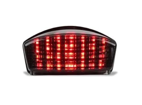 Feux arrière à LED avec clignotants pour Monster 900 et 1000