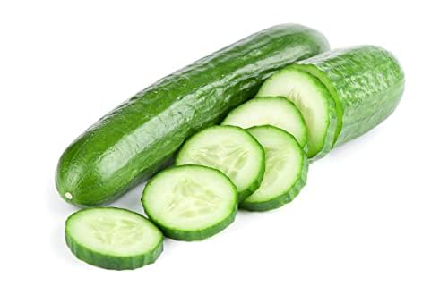 Cucumber Plants, 'Tribute', 10 x Large Plug Plant Pack, Vegetable Plants, Cucumber, Garden Veg, Cucumbers, Garden Ready and Ready to Plant, Premium Quality Veg