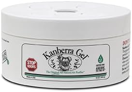 Kanberra Gel  Gel eliminador de olores  Detén los olores naturalmente  Gel de árbol de té puro  El purificador de aire totalmente natural original