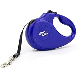 amazon com tr tasmalar kopekler evcil hayvan urunleri boyun tasmalari gogus tasmalari ve fazlasi