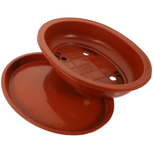 Mikikit Maceta para Bonsái de Plástico