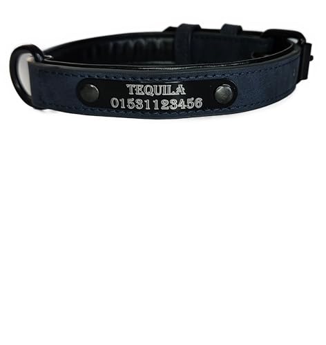 Jacks O Be Hundehalsband Halsband Name Gravur personalisiert Haustier Hund Katze Leder (Blau, M)