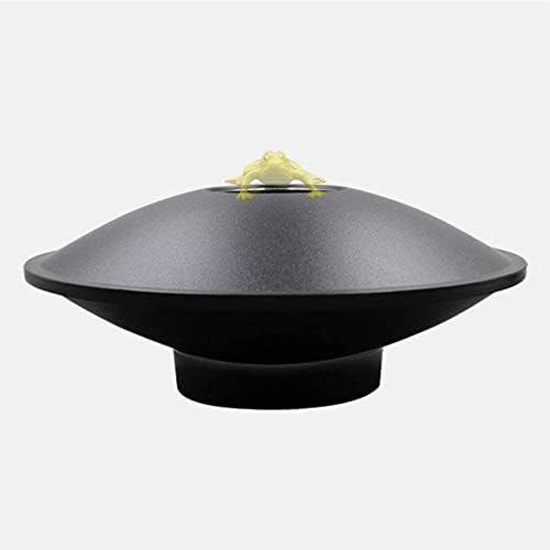 IUUWTMV 3D Mirascope Instant Illusion Maker Illusion Toy Optical Illusion Magic Toy Image Magic Toy Educational Toy Idea Gift Toy for Kids Adult Gift (Frog)
