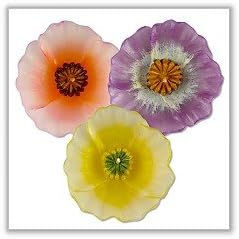 Poppy Flower Floating Candles Icelandic - 3¼" - (Set of 3)