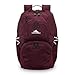 High Sierra Swoop SG Backpack, Travel or Work Laptop Bookbag with Drop Protection Pocket, and Tablet Sleeve, One Size, Maroon