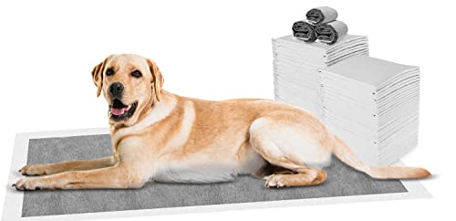 Carbón Empapadores Perros Paquete de 25, Prueba de Fugas Empapadores, Superabsorbente Desechable Empapadores de Perros, Empapadores para Perros para Inodoro, Entrenamiento - 90 x 60 cm Cover