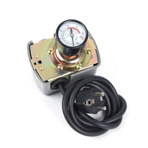 Pompa centrifuga per acqua domestica, pressostato da giardino, pompa centrifuga da giardino, autoadescante, durevole, grazie alle pompe per fontane profonde, 1300 W, 9,8 bar, 4000 l/h (pressostato