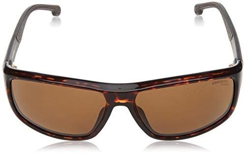 Carrera CARRERA 8038/S Dark Havana/Gold 61/15/130 men Sunglasses2