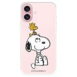 LA CASA DE LAS CARCASAS