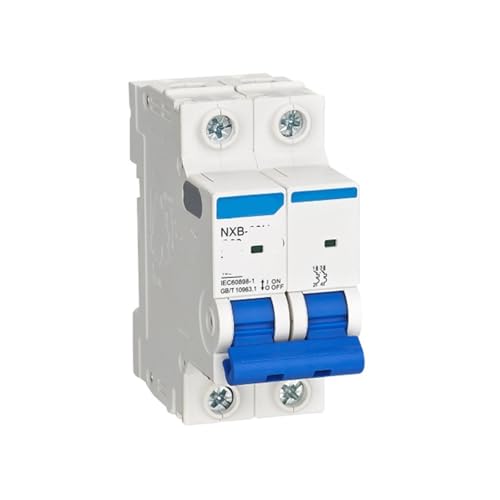 Disjoncteur NXB-63H 2P C40 10kA magnétothermique bipolaire pour tableau électrique modulaire