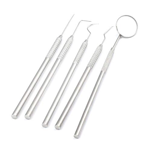 DDP – 1 Set Dental Pick & Mirror Tool Sculpture Instrument KIT Tooth Teeth DDP – 1 Set Dental Pick & Mirror Tool Sculpture Instrument KIT Tooth Teeth