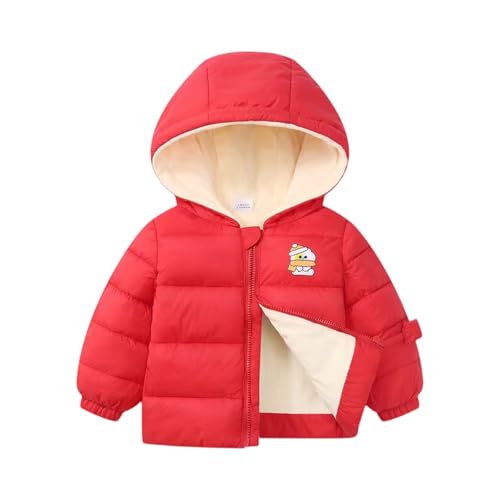 Image of Kids Hooded Puffer Jacket with Full Zip Warm for Boys Girls Lightweight Warm Outerwear Winter Coat Chaqueta Acolchada Para Ninas (Red,5-6 Years)