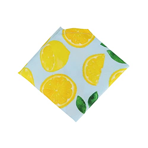 HYTROVE Haustier Bandana Hundehalstuch Aus Baumwolle Mit Fruchtdesign Leicht Anzulegen Für Katzen Und Hunde Haustierzubehör Für Alltag Und Party