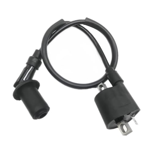 Bobina de encendido D8TC para motocicleta de 125cc y vehículos ATV todoterreno