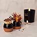 O'La Design Match Holder with Striker - Set of 2 - Handmade in Cappadocia for Decorative Matches - Ceramic Match Striker for Safety Matches and Strike Anywhere Matches - Matches not Included
