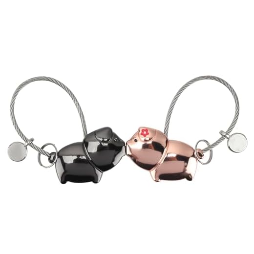 Nodcows 1 Par de Parejas Llavero, Llaveros Casa de Cerdito Personalizados para Parejas, Regalo de Cumpleaños para el Día de San Valentín, Boda, Mujeres y Hombres (Negro Brillante + Oro Rosa)