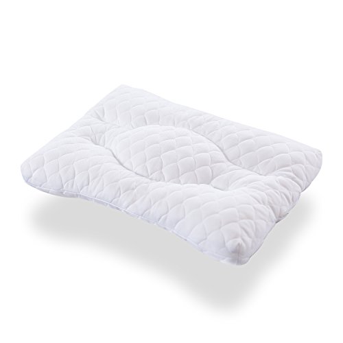 tobest トゥーベスト 高さ調節 パイプ枕 ネムリードピロー 増量用パイプ付き 帝人製 マイティトップ 抗菌 防臭 防ダニ 丸洗い 高め 低め