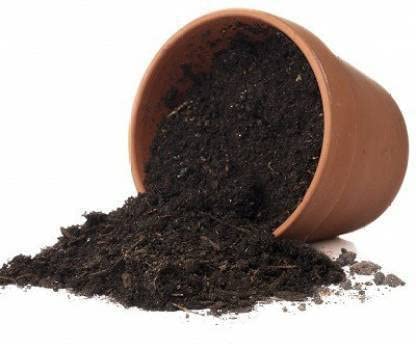 Javik Khaad Used as a Growing Medium for Flowers, Vegetables, Fruits, Saplings,1kg Pack of 1 (B0B7MFH637) Amazon Price History, Amazon Price Tracker