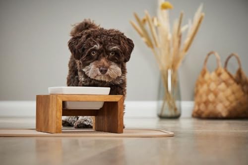 Wolters Cat & Dog Écuelle Meshidai True