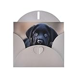 cucciolo labrador chocolate napoli Che si tratti di un invito a una festa o di un biglietto di auguri vuoto per esprimere gratitudine, i biglietti con stampa di cuccioli di labrador nero di Gray MSRHIUEF offrono molto spazio vuoto per i tuoi pensieri, abbinati a eleganti buste per una presentazione completa e premurosa.