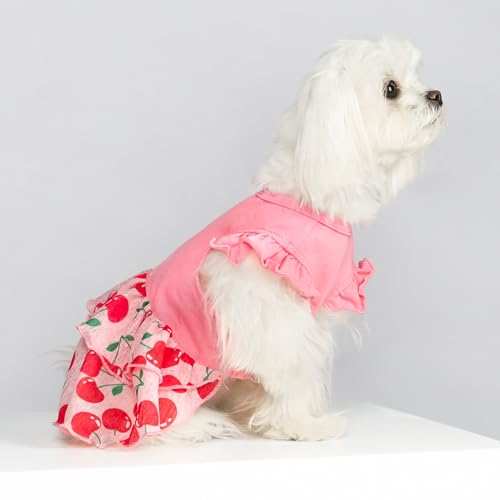 Fitwarm Vestido em camadas Cherry Cupcake para cães, roupas para cães pequenos, meninas, vestido de